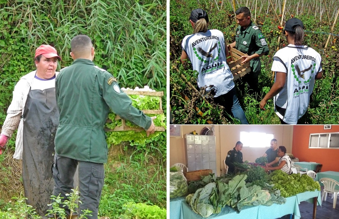Leia mais sobre o artigo PADRÃO ÁGUIAS REALIZA AÇÃO SOLIDÁRIA EM ÁREA RURAL E ARRECADA VERDURAS E LEGUMES PARA O ABRIGO MUNICIPAL, EM TERESÓPOLIS, RJ