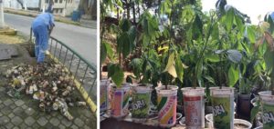 Leia mais sobre o artigo NOSSOS HÁBITOS DE CADA DIA