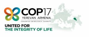 Leia mais sobre o artigo PADRÃO ÁGUIAS ADERE À CARTA BRASILEIRA PARA A CONFERÊNCIA MUNDIAL DA BIODIVERSIDADE – COP17